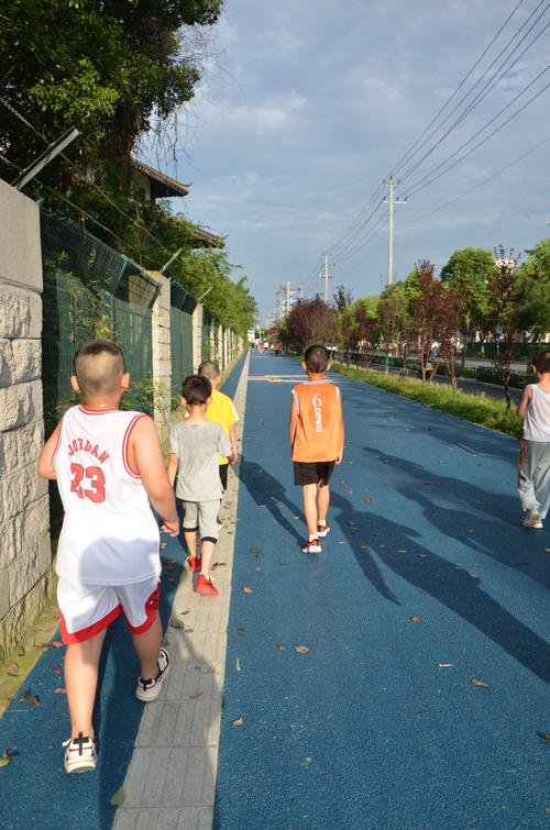 【阳光出行怎么跑不了了/阳光出行跑着怎么样】