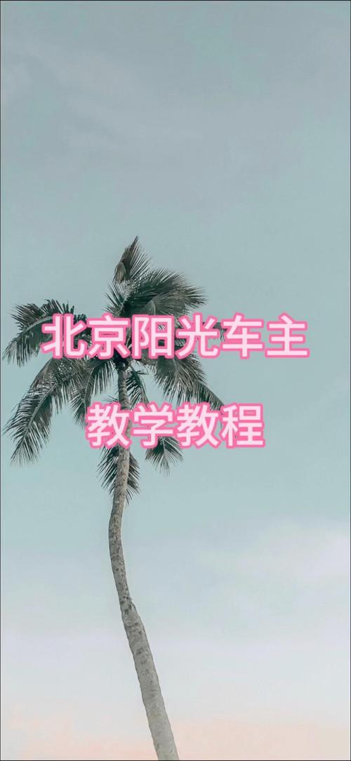 【阳光出行怎么跑不了了/阳光出行跑着怎么样】-第6张图片 【阳光出行怎么跑不了了/阳光出行跑着怎么样】-第6张图片