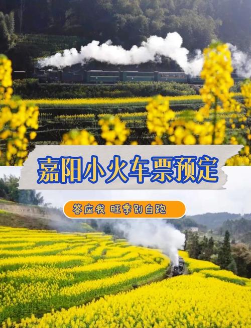嘉阳出行怎么收费/去嘉阳小火车可以开车去吗-第9张图片