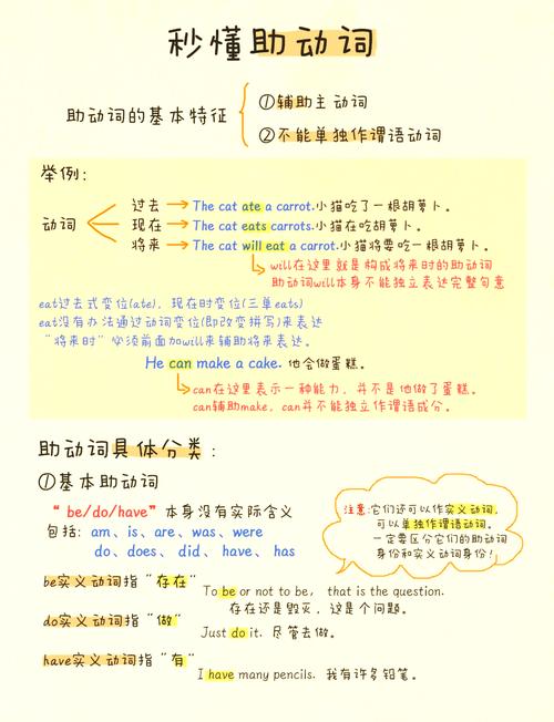 帮助残疾人出行英文怎么说-帮助残疾人英语短语-第3张图片 帮助残疾人出行英文怎么说-帮助残疾人英语短语-第3张图片