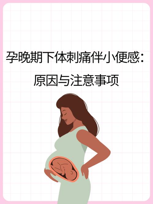 孕期尿频怎么出行,孕期尿频有所缓解-第9张图片 孕期尿频怎么出行,孕期尿频有所缓解-第9张图片