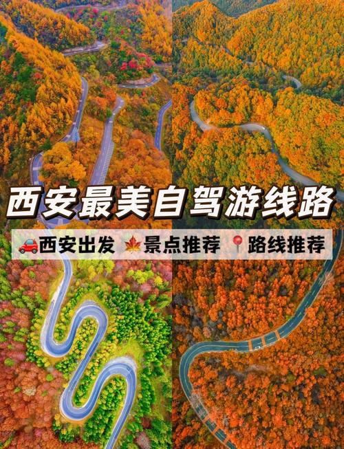 【全家出行怎么到西安的/全家出行怎么到西安的地铁】-第10张图片 【全家出行怎么到西安的/全家出行怎么到西安的地铁】-第10张图片