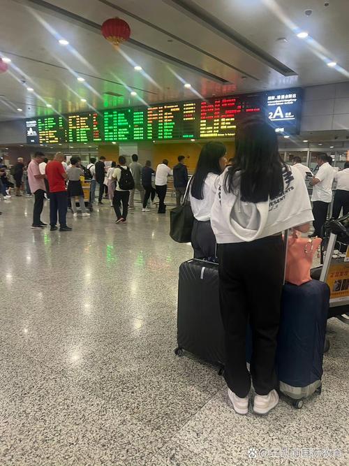 阳光出行怎么接不到机场单,阳光出行接机免费等待多久-第7张图片 阳光出行怎么接不到机场单,阳光出行接机免费等待多久-第7张图片