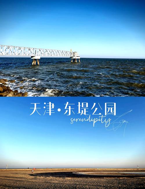 天津游玩怎么出行,天津出去玩-第7张图片 天津游玩怎么出行,天津出去玩-第7张图片