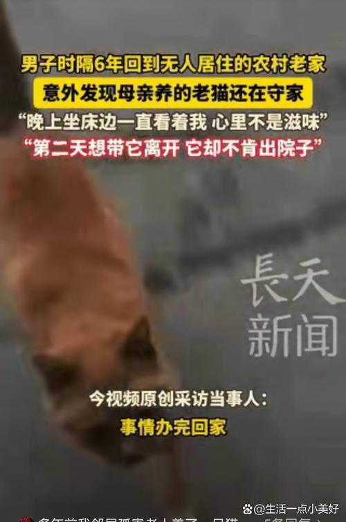 母亲重病离家出行好吗-母亲重病离家出行好吗视频-第7张图片 母亲重病离家出行好吗-母亲重病离家出行好吗视频-第7张图片