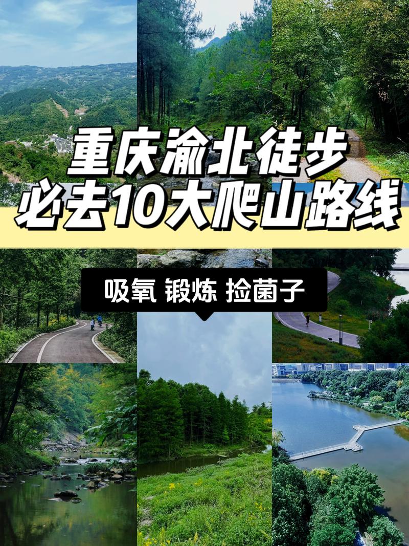 【渝北区出行安全吗/重庆渝北区安全吗】-第6张图片 【渝北区出行安全吗/重庆渝北区安全吗】-第6张图片