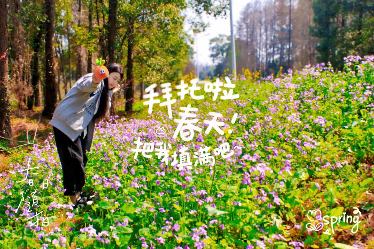 迎春和立春能出行吗/迎春可以出门吗