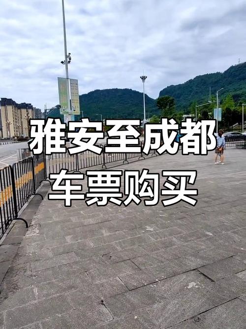 五一出行需要带什么手续-五一出行需要带什么手续去-第3张图片