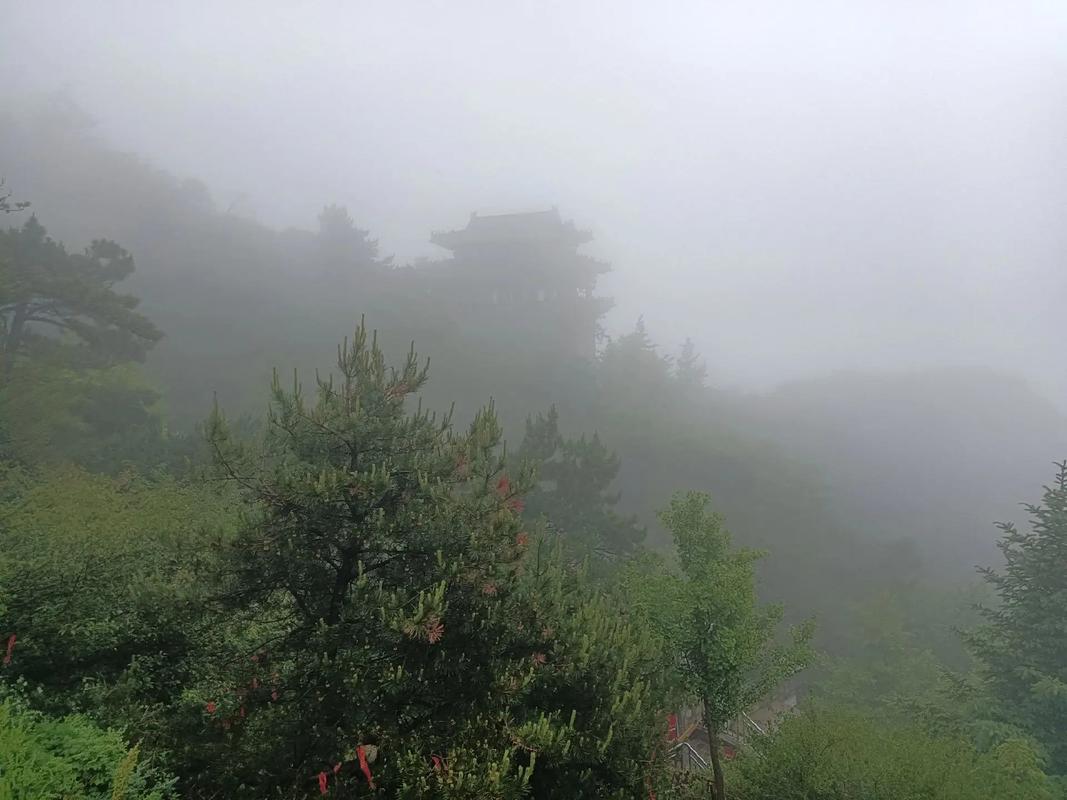 关于“下雨天晚上出行好吗山东”你不知道的事-第4张图片 关于“下雨天晚上出行好吗山东”你不知道的事-第4张图片