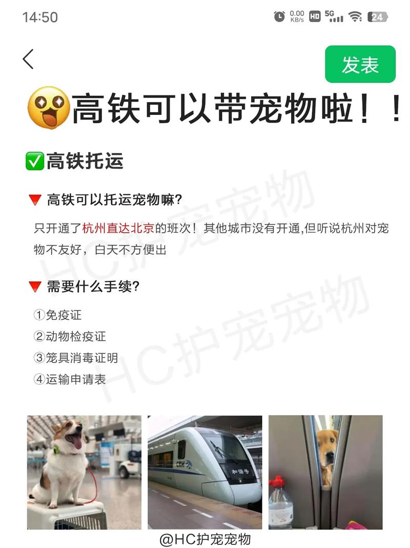 关于“广州禁止小狗出行吗今天”你不知道的事