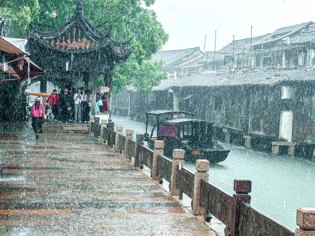 嘉兴桐乡今天可以出行吗，桐乡现在可以进去吗-第10张图片